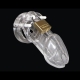 CB-6000 Chastity Cage
