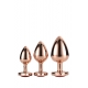 Gleaming love Set di Plug in metallo con finale a cuore