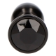 Plug Anal Secret Pleasur nero