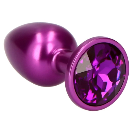 Plug Anale Secret Pleasure Viola