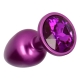 Plug Anale Secret Pleasure Viola