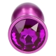 Plug Anale Secret Pleasure Viola
