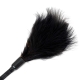 Sensual Tickler Duo Frustino